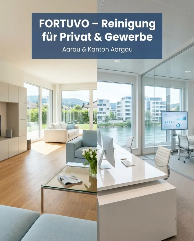 Reinigungsfirma Aarau